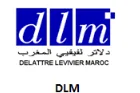 DLM